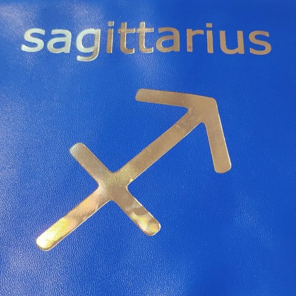 Stephanie Johnson Sagittarius Zodiac Sign Cosmetic Bag Travel Clutch New OOS - Picture 2 of 10